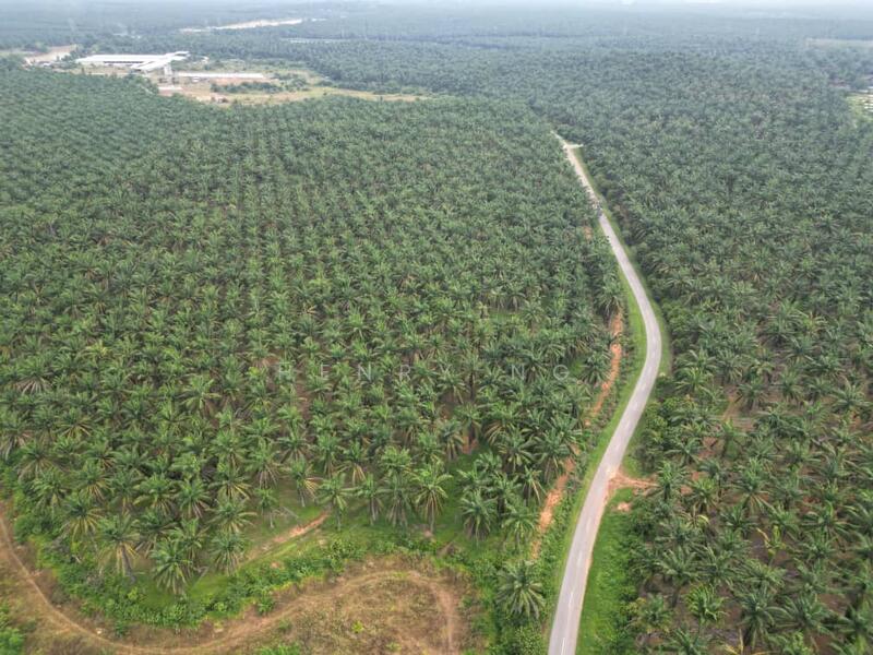 Untuk Dijual - Sidam Kiri