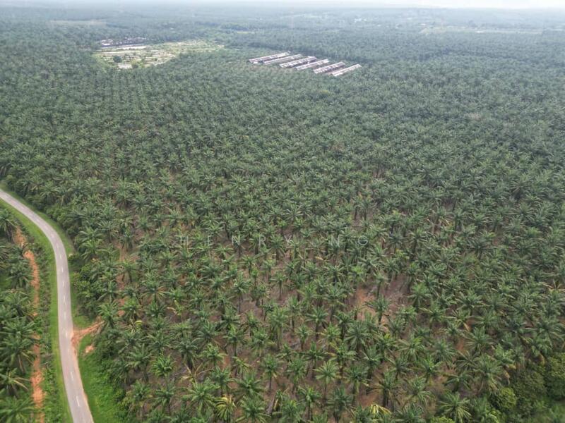 Untuk Dijual - Sidam Kiri