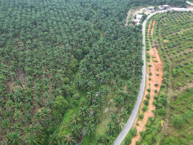 Untuk Dijual - Sidam Kiri