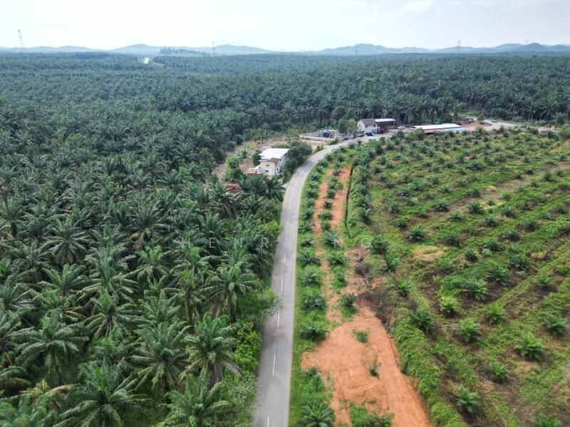 Untuk Dijual - Sidam Kiri