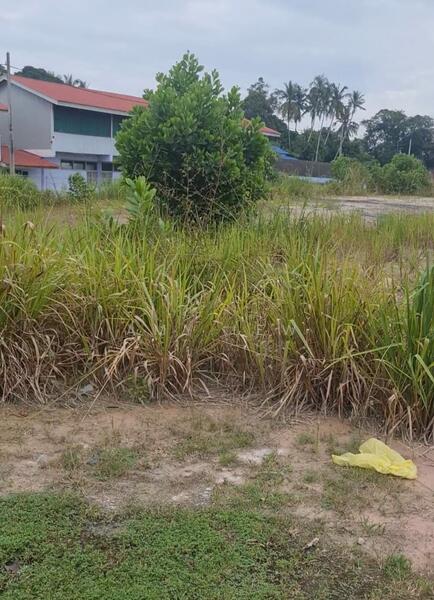 For Rent - Temerloh Jalan Batu Satu