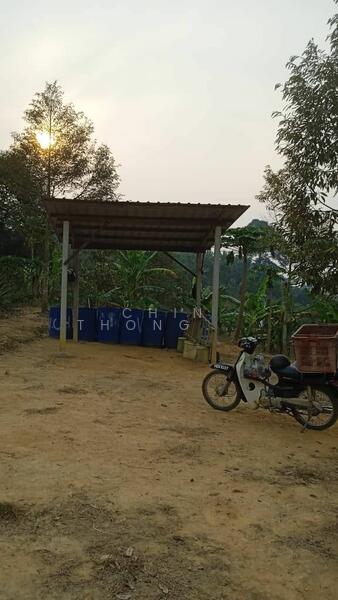 Untuk Dijual - Agricultural Land at Pekan Baru Titi