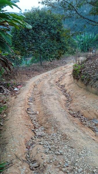 Untuk Dijual - Agricultural Land at Pekan Baru Titi