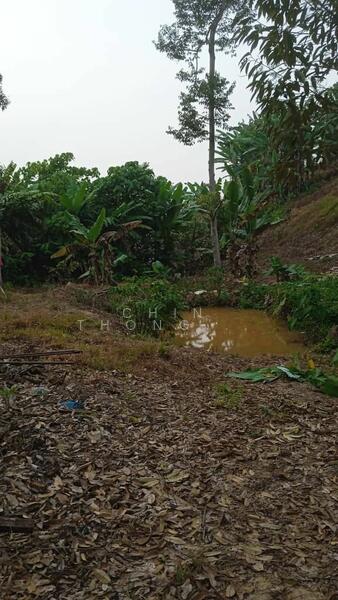 Untuk Dijual - Agricultural Land at Pekan Baru Titi