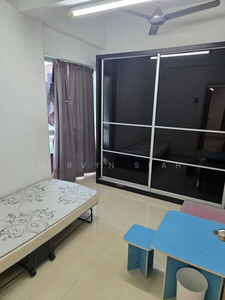 For Sale - Idaman Iris