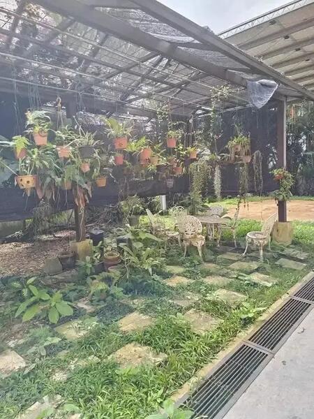 Untuk Disewa - Ipoh sri klebang fully furnished renovated 2sty bungalow house for rent