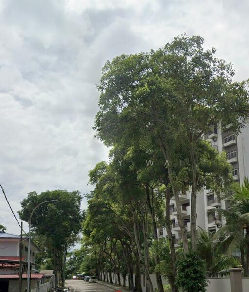 Untuk Dijual - Jalan Wadihana @ Johor 40,000 sqft Agricultural Land For Sale