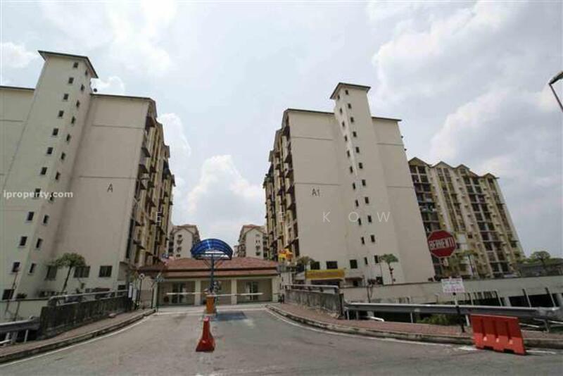 For Sale - Vista Lavender