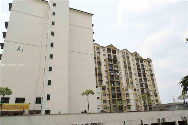 For Sale - Vista Lavender