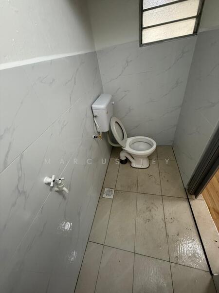 For Sale - Kluang Kluangs