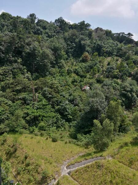 Untuk Disewa - Inwood Residences