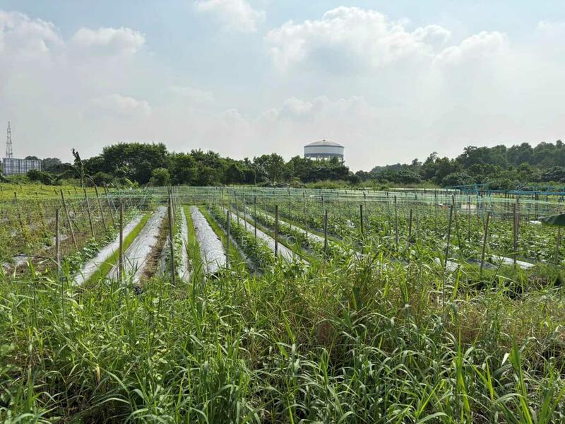Tanah Perindustrian untuk Disewa di Taman Johan Setia (Klang) - Annie Chong - PropertyGuru.com.my