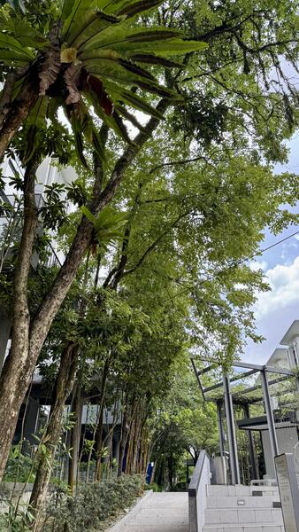 Untuk Dijual - 3-storey Terraced House at The Mansions