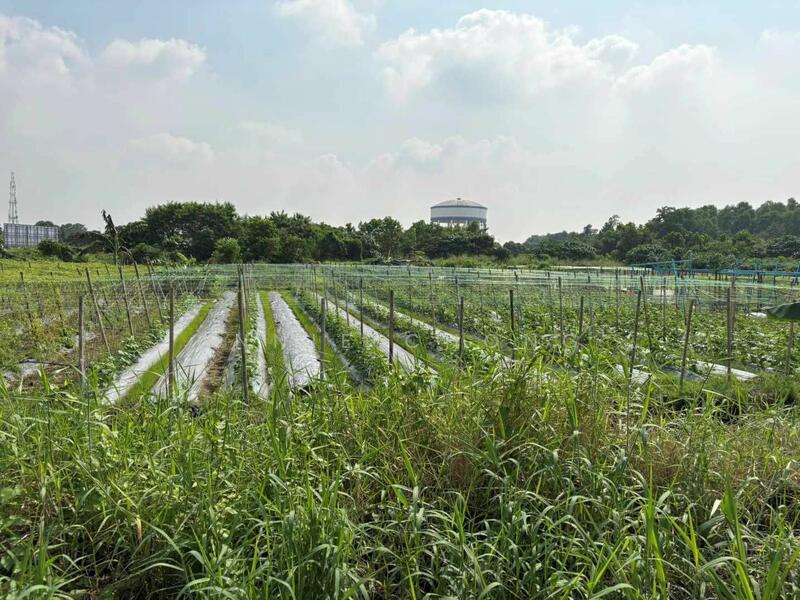 For Rent - CHEAP 1-5 acre Land at Johan Setia Klang. Next to Bukit Rimau, Rimbayu, Kota Kemuning, Taman Sentosa