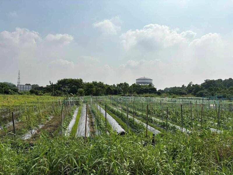 For Rent - CHEAP 1-5 acre Land at Johan Setia Klang. Next to Bukit Rimau, Rimbayu, Kota Kemuning, Taman Sentosa