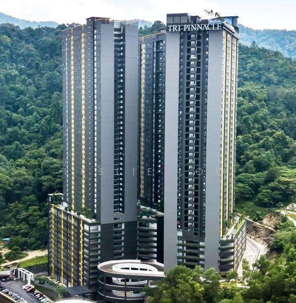 For Sale - TRI PINNACLE