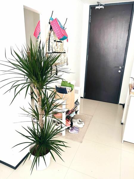 For Rent - The Fennel