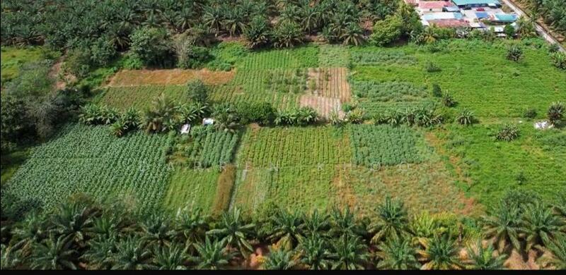 For Sale - Air Manis @ Sedenak