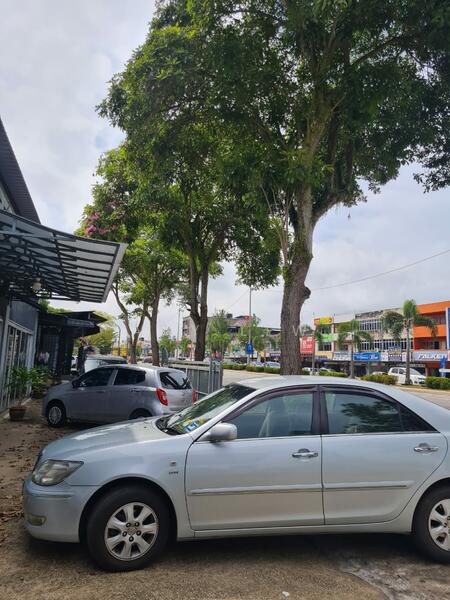 For Rent - Pahang Temerloh Jalan Tengku Ismail