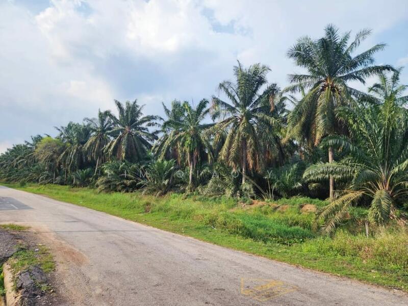 For Sale - Agricultural Land (Zoning Commercial) Jalan Parit Yaani, 83000 Batu Pahat Johor.
