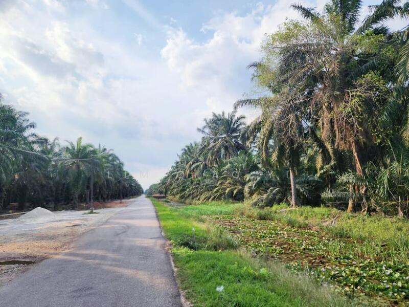 For Sale - Agricultural Land (Zoning Commercial) Jalan Parit Yaani, 83000 Batu Pahat Johor.