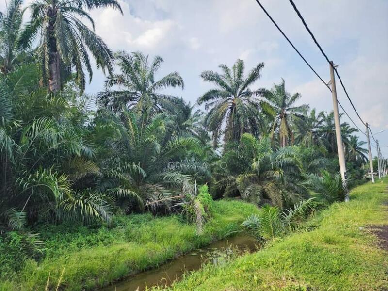 For Sale - Agricultural Land (Zoning Commercial) Jalan Parit Yaani, 83000 Batu Pahat Johor.