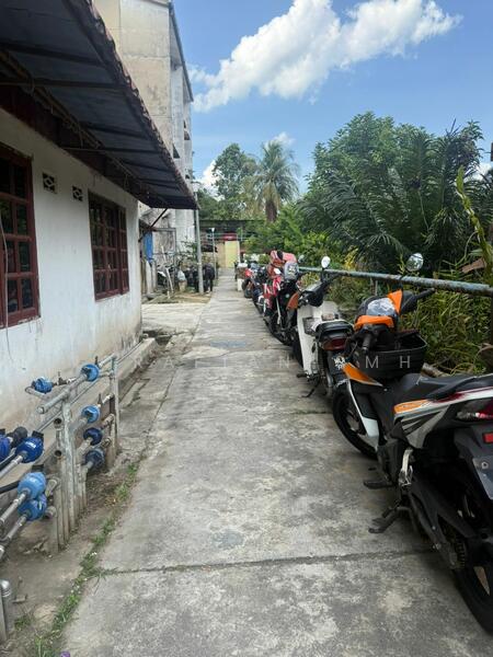 For Sale - Kelumpuk Dahlia / Melati