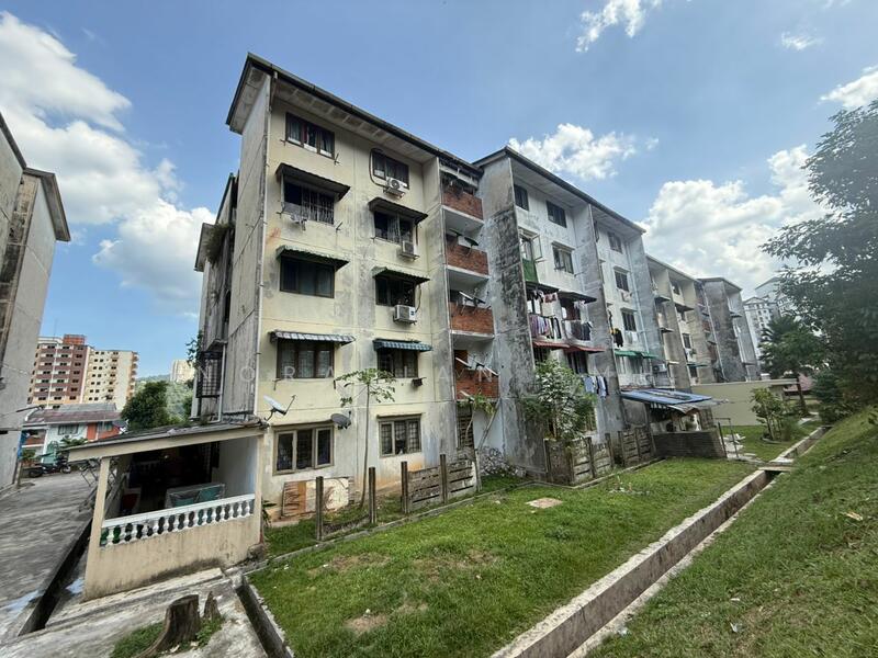 For Sale - Kelumpuk Dahlia / Melati