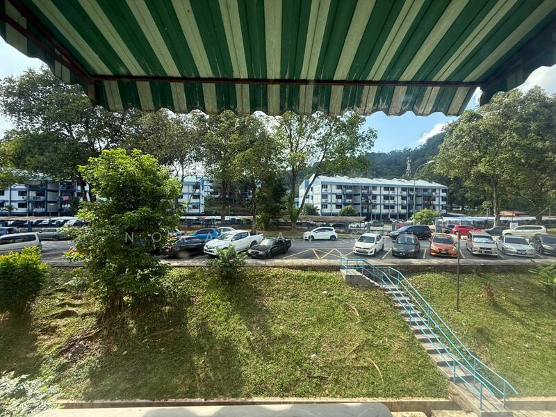 For Sale - Kelumpuk Dahlia / Melati