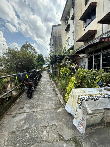 For Sale - Kelumpuk Dahlia / Melati