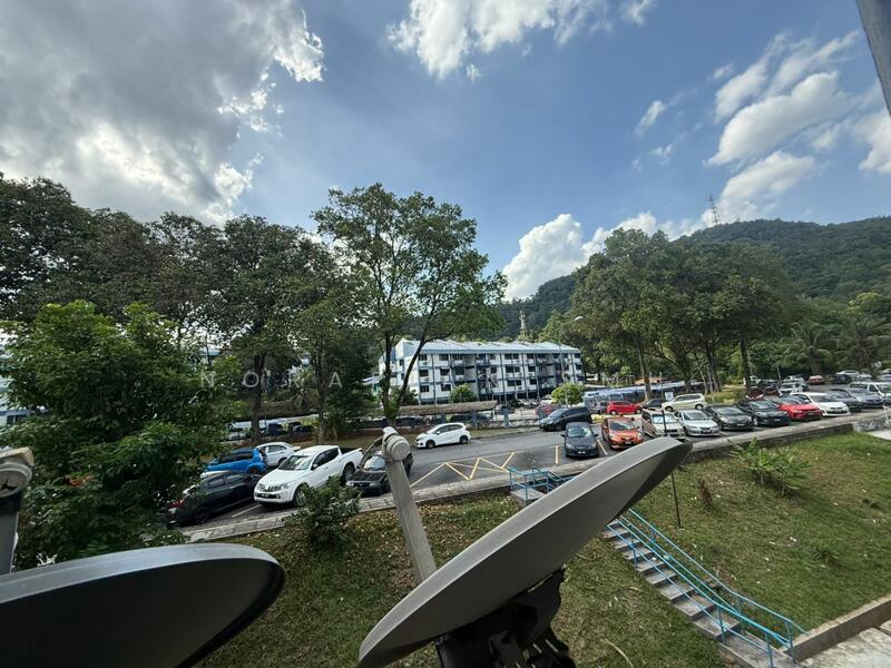 For Sale - Kelumpuk Dahlia / Melati