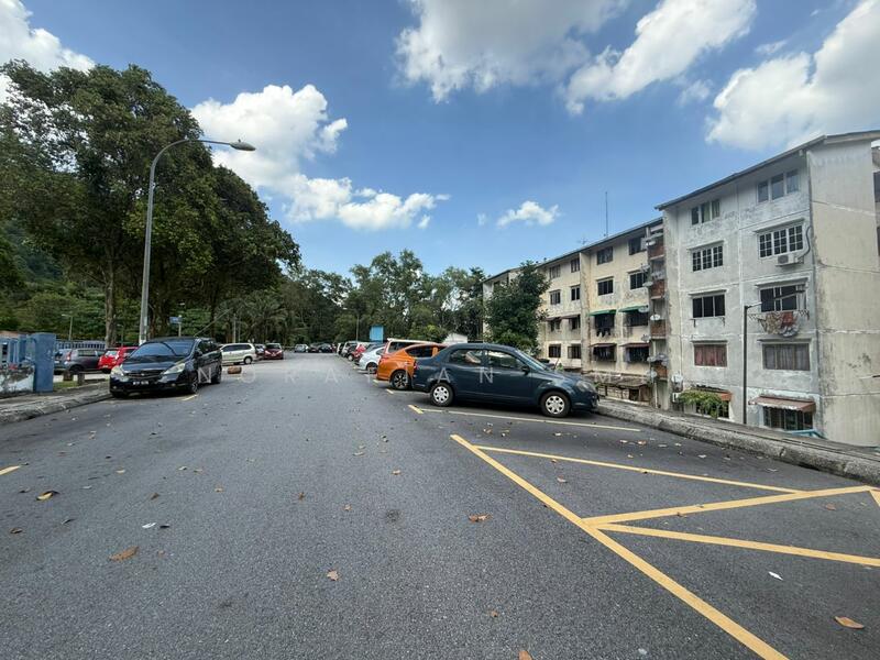 For Sale - Kelumpuk Dahlia / Melati