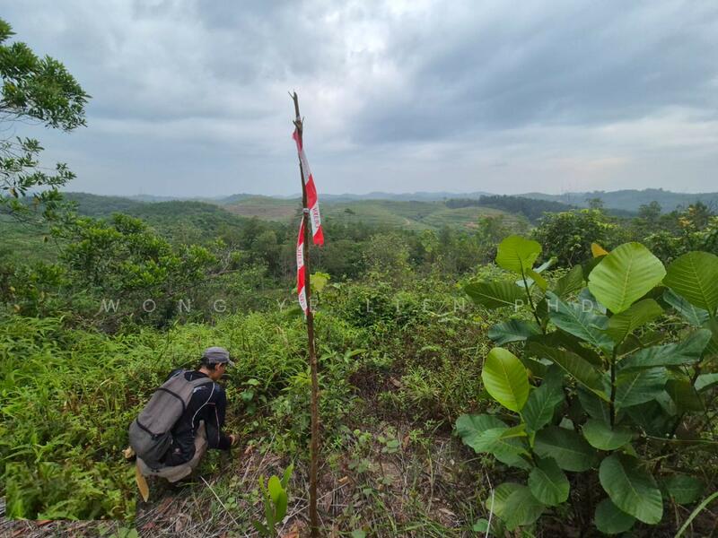 Agricultural Land for Sale in Bandar Baru Lembah Beringin (Sungai Gumut) - Wong Ye Lien PhD - PropertyGuru.com.my