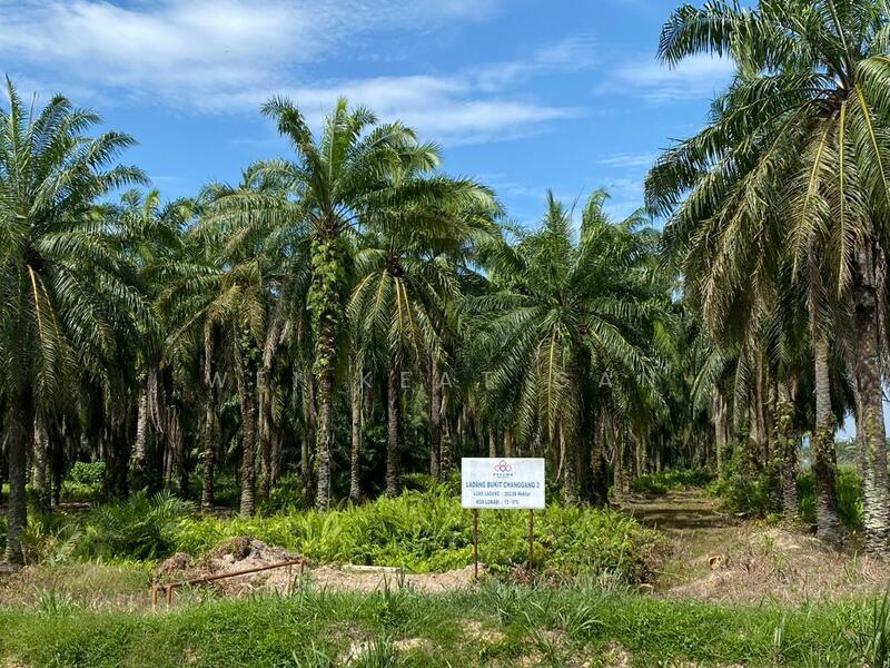For Sale - Agricultural Land at Banting