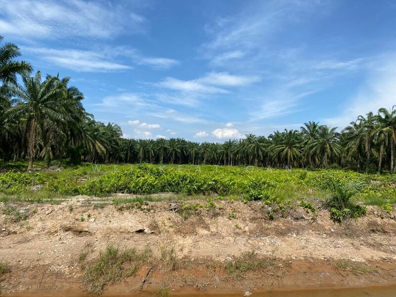 For Sale - Agricultural Land at Banting