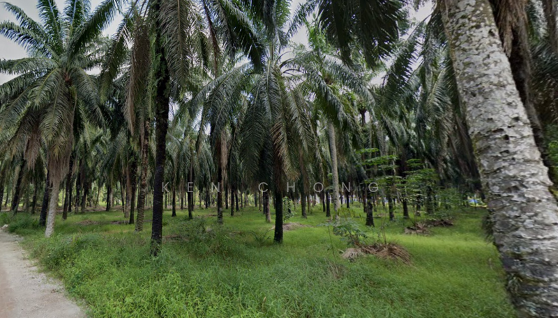 For Sale - Industrial Land at Kampung Bukit Badong