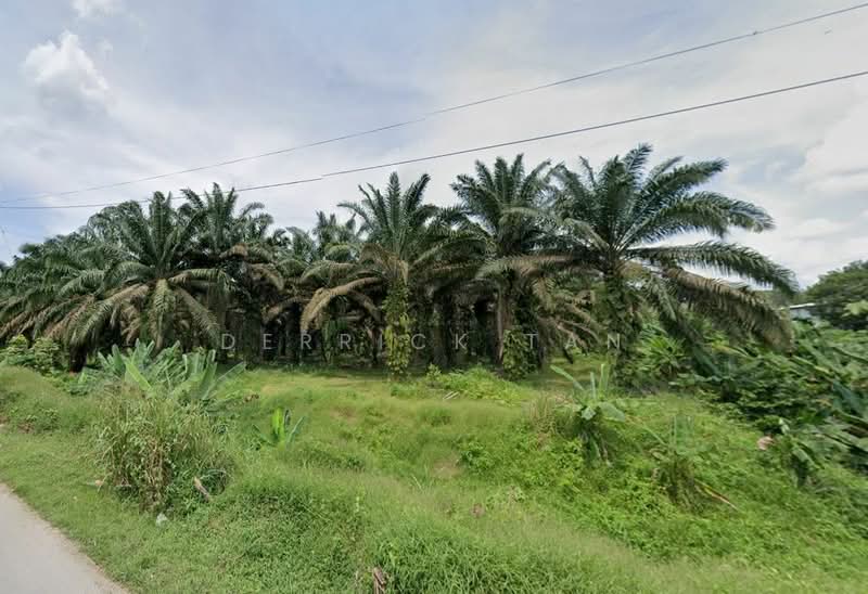 Industrial Land for Sale in Kawasan Perindustrian Kelapa Sawit (Kulai) - Derrick Tan - PropertyGuru.com.my