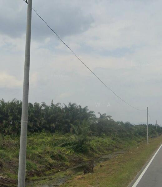 For Sale - Pekan Nanas @ Johor 18 Acres Industry Land For Sale