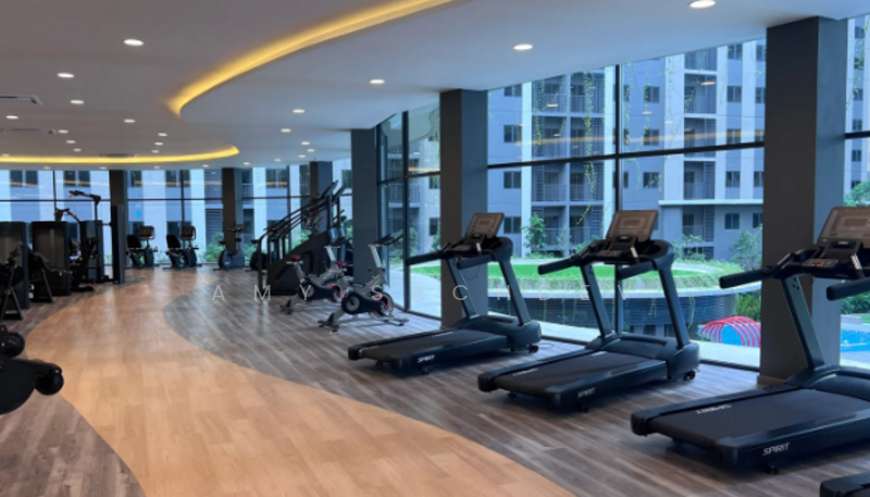 Untuk Dijual - One Equine