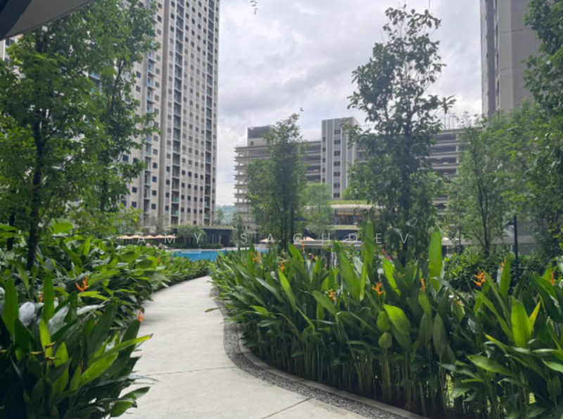 Untuk Dijual - One Equine