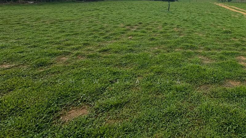 Untuk Disewa - Taman Perindustrian Cemerlang Ulu Tiram