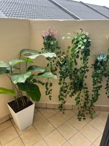 For Rent - Dorchester