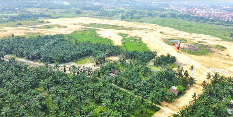 For Sale - 4.95acres 1grade Residential Land Permatang Tinggi Simpang Ampat 39psf