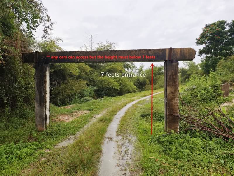 Agricultural Land for Sale in Kampung Kuala Tasek (Simpang Ampat) - Teh Guan Fong - PropertyGuru.com.my