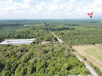 For Sale - 9.619 Acres Main Road | Zoning Residential | Selama | Perak | b