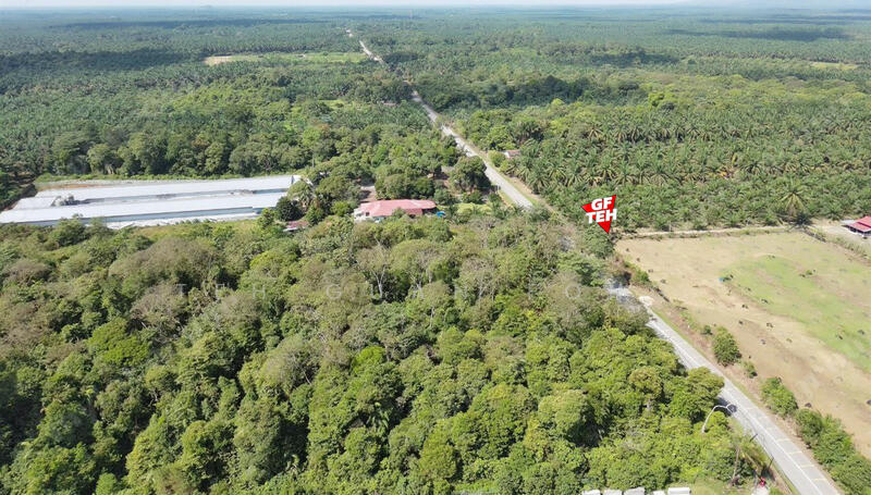 For Sale - 9.619 Acres Main Road | Zoning Residential | Selama | Perak | b