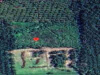 For Sale - 3 acre Big Potential Agricultural Land Manjung