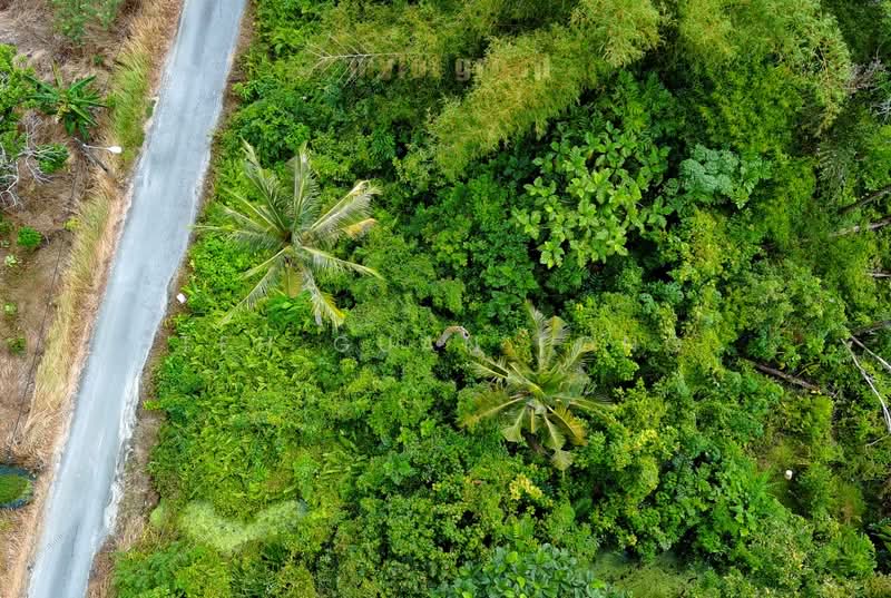 Commercial Land for Sale in Taman Balik Pulau (Balik Pulau) - Teh Guan Fong - PropertyGuru.com.my