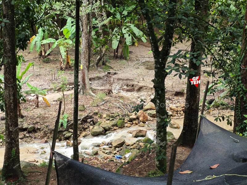 Agricultural Land for Sale in Taman Sri Tunas (Bayan Lepas) - Teh Guan Fong - PropertyGuru.com.my