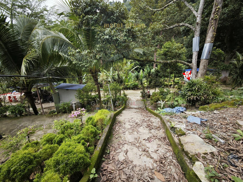 Agricultural Land for Sale in Taman Sri Tunas (Bayan Lepas) - Teh Guan Fong - PropertyGuru.com.my